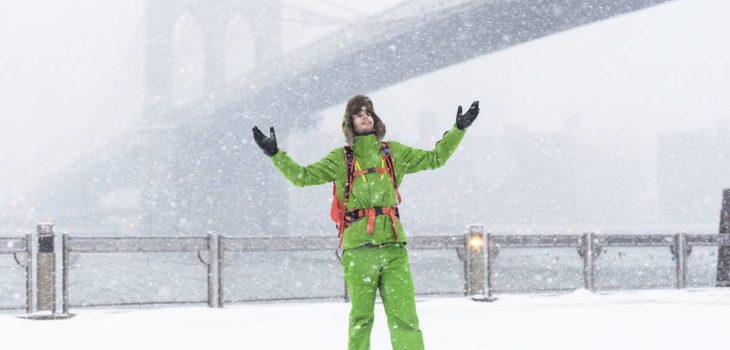 pierre t. lambert brooklyn bridge snow