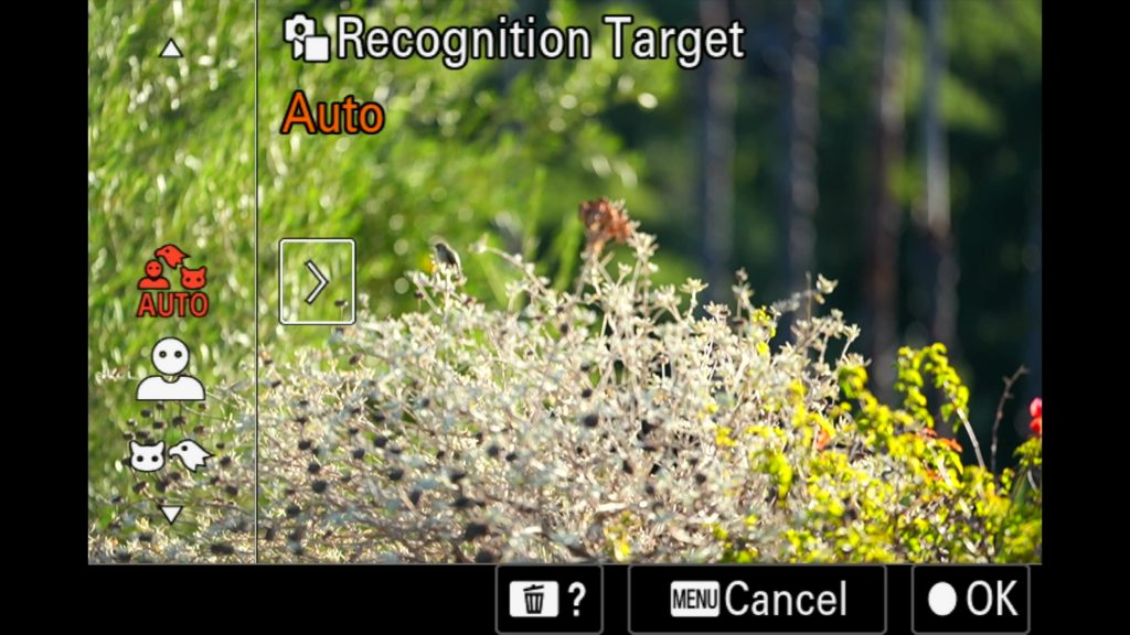 sony a1 ii autofocus detection