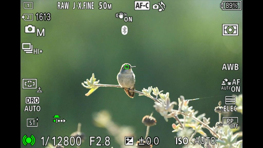 sony a1 ii autofocus detection